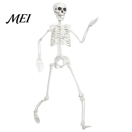 Life-like Skeleton Decoration 3ft Life Size Halloween Skeleton, Full Body Posable Plastic Prop, Realistic Poseable Prop Human Bones Model for