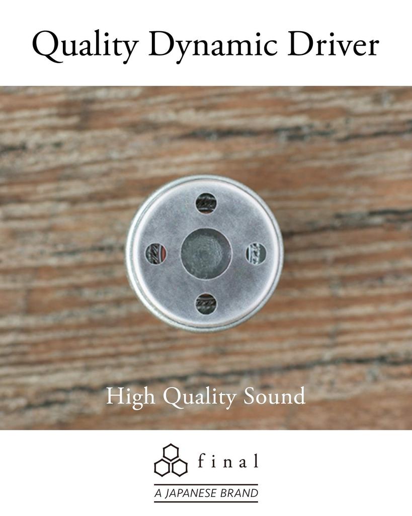 final E1000 In-Ear Earphones (Black) FI-E1DPLBL