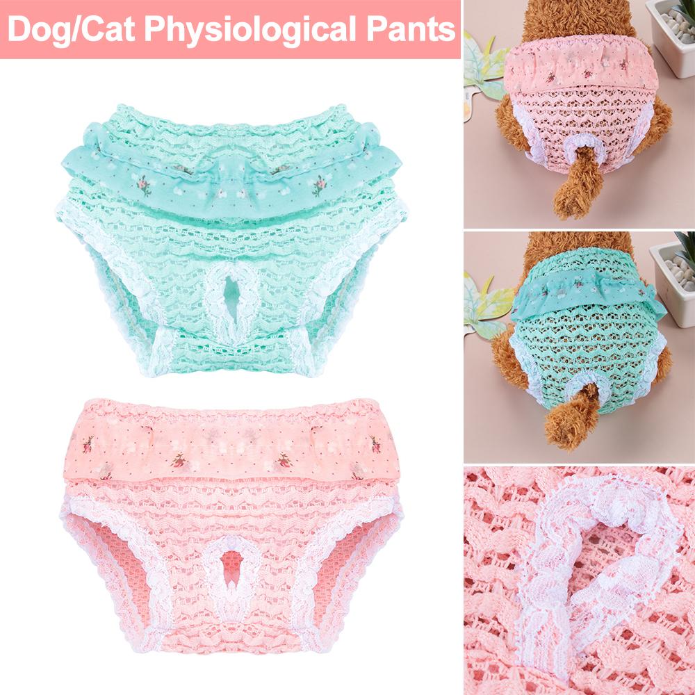 & Living Шифоновое нижнее белье Эластичные трусики для собак Физиологические штаны для домашних животных Подгузники для щенков Товары для кошек