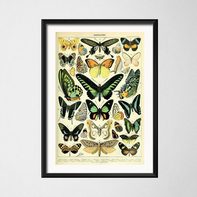 Винтажный стиль плакаты бабочка насекомое холст картины постеры и принты настенная художественная картина для гостиной домашний декор Cuadros