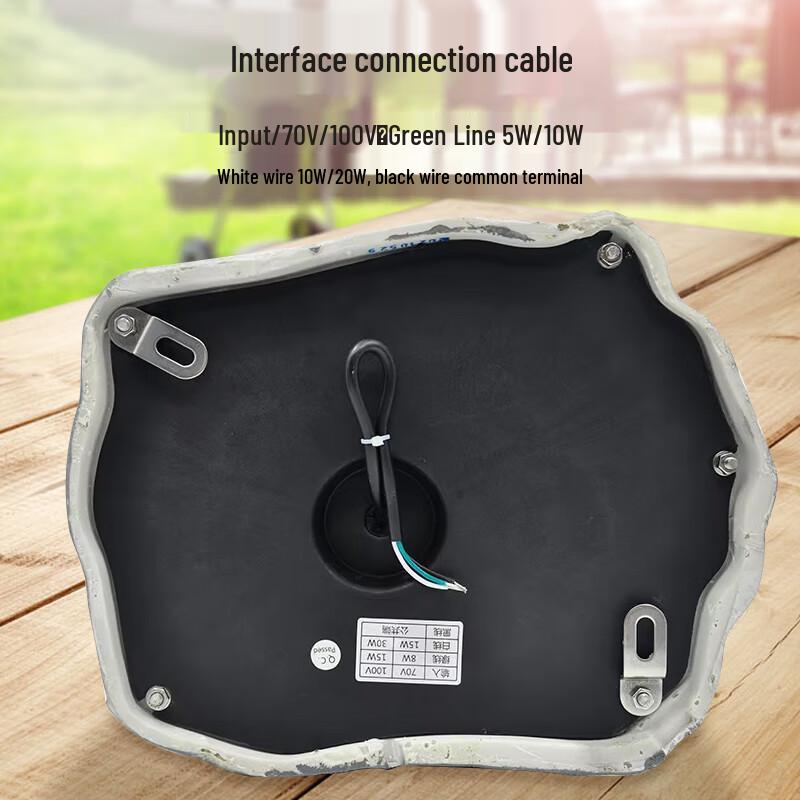 Weishu TPSH-50 Outdoor Rock Speaker