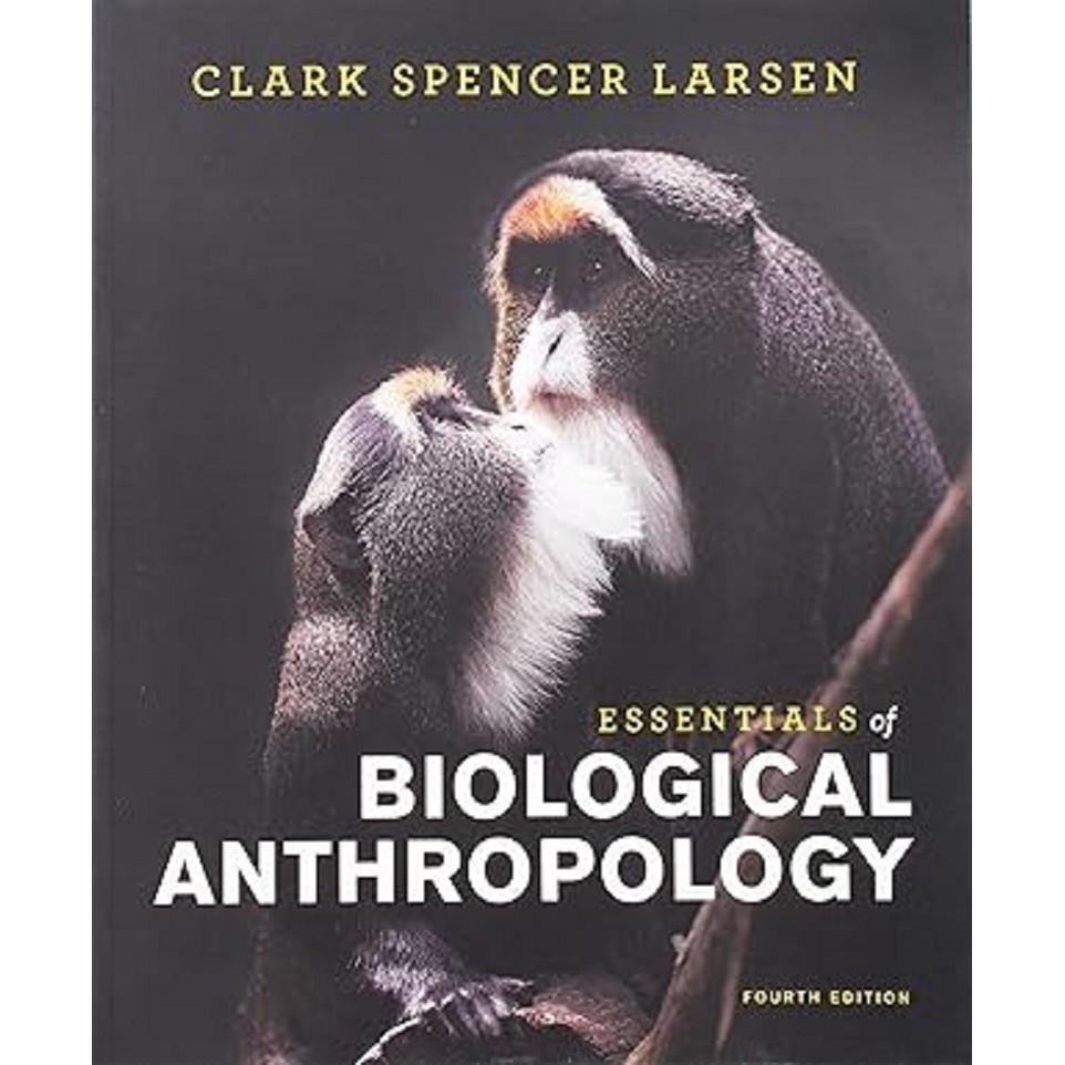 Essentials of Biological Anthropology Paperback UKN1326