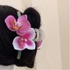 Ponytail Holder Shark Clip Butterfly Orchid Headwear New Barrette  Women