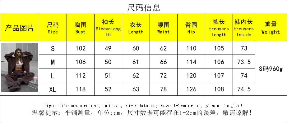 Street Style Casual Set Long Sleeve Zip Up Hoodie Jacket with Drawstring Wide Leg Pants 2 Piece Outfit