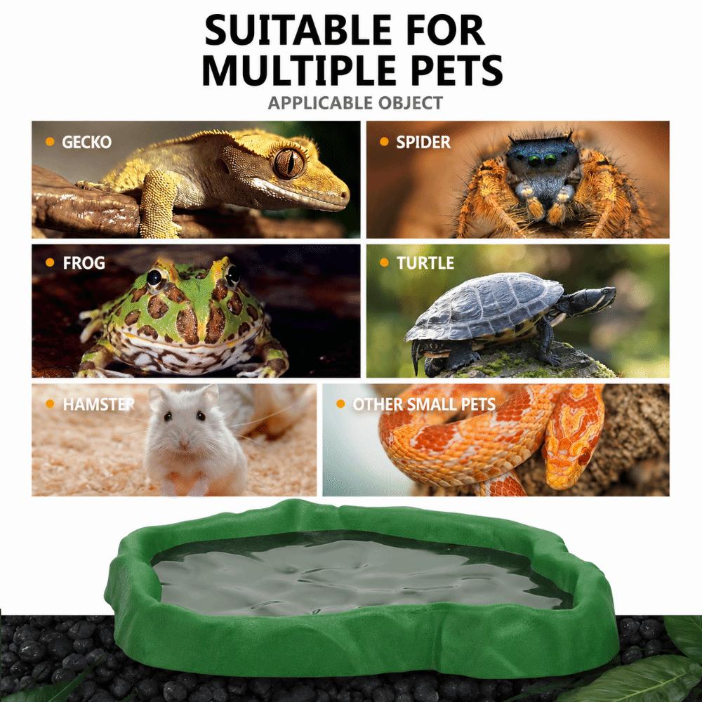 ABS Resin Water Dish Feeder Imitation Rock Design Feeder Bowl New Pet Feeder Basin  Small Reptiles