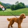 Wear-resistant Pet Dog Leash Anti-bite Dog Walking Leash Automatic Dog Leash  for Cats and Dogs