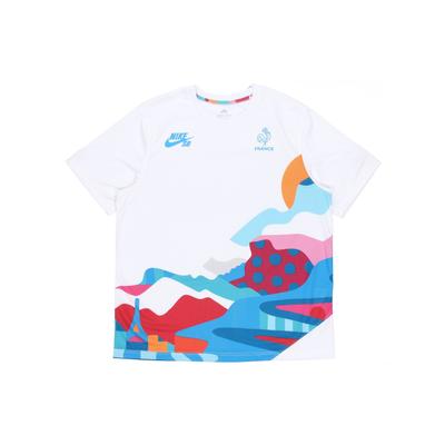 Nike Джерси Федерации Франции SB x Парра (Азия) Белый/Синий Нептун Мужская уличная одежда CT6147-100
