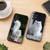 Милый Смешной Чехол для Телефона с Кошкой для Samsung S25, S24, S21, S22, S23, S30, Ultra, S20, Plus, Fe, Мягкий Силиконовый Черный Чехол