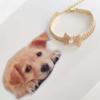 Choker For Cat and Dog Puppy Accessories Dog Chain Pet Supplies Pet Collar Dog Necklace Cat Jewelry