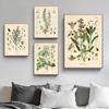 Spicy Herbs Poster Printing Parsley Sage Rosemary Thyme Cooking Wall Art Picture Canvas Painting Modern Kitchen Home Decoration