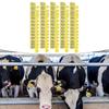 100Pcs Cattle Ear Tags Convenient Taggers Farm Animal for Livestock
