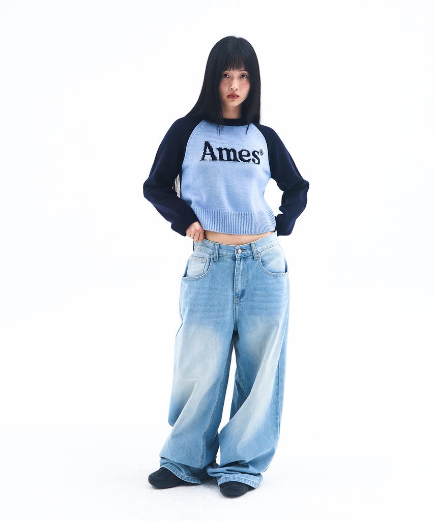 AMES-WORLDWIDE Basic Raglan Pullover Knit Blue