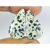 Natural Dalmantion Matched Pair Pear Cabochon Loose Gemstone 11X21X03 MM SK-190