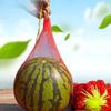 100Pcs Garden Cucumbers Growing Storage Mesh Net Vegetable Bags Hanging Watermelon Grow Net Bags Reusable Cantaloupes Mesh Net