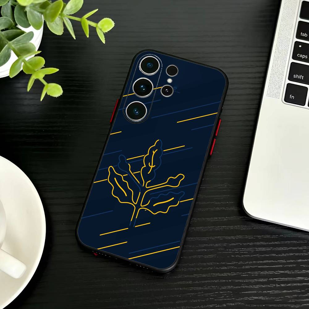 Крутой чехол для телефона с узором Т-Турция Фенербахче для Samsung S26, S25, S24, S23, S22, S21, S20, S30, Ultra, Plus, Fe, Note, 5G Черный чехол