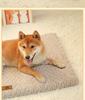 1pc Dog Bed Dog Mat Egg Sponge Bed Warm Plush Detachable and Washable Dog Bed Winter Mat Cloth Modern Simple