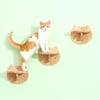 Кошачий скалодром Кошачье дерево Кошачья башня Кошачья кровать Кошачья полка кошачьи игрушки кошачьи аксессуары