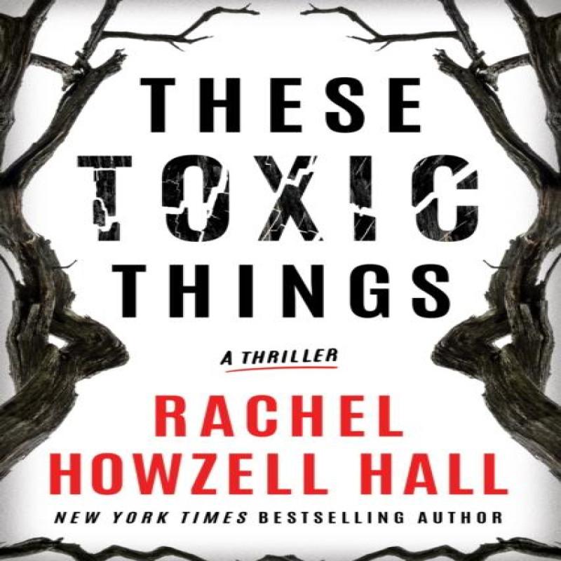 These Toxic Things by Rachel Howzell Hall Paperback Book 9781542027496