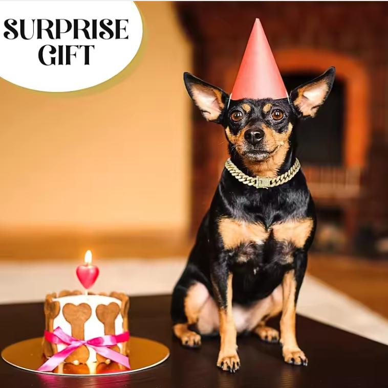 Собачий цепной ошейник Роскошный золотой Металлический цепной ошейник для домашних животных для маленьких, средних и крупных собак, кошек, Ювелирное ожерелье для домашних животных, Аксессуар