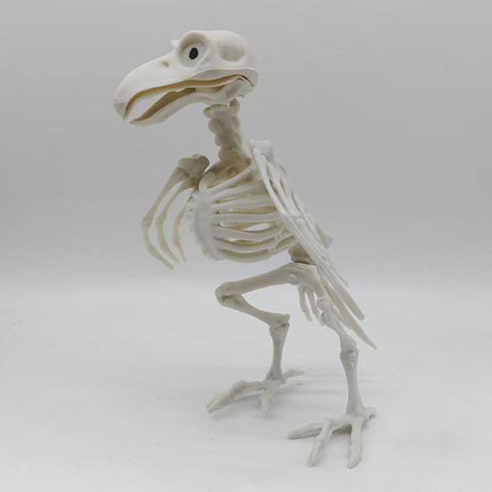 Halloween Animal Skeletons Dog Bat Frog Scorpion Spider Snake Rat Bone Skeletons for Halloween Party Haunted House Graveyard Scene Decoration