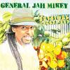 CD GENERAL JAH MIKEY - Original Yard Food ZHP008 Zion High Produ 2013 US Регги, Ска и Даб Б/У