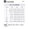 Nike Jackets Men's Wolf Gray Hooded Moderate Other AT4695-012