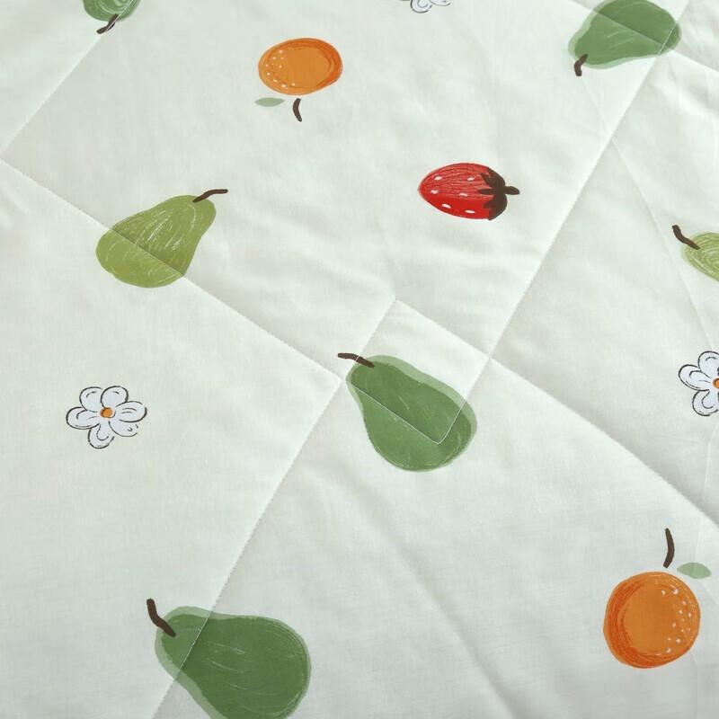 Caiyang Pineapple Pattern Summer Quilt