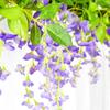 1шт настенное растение лоза домашний декор свадебная арка искусственный цветок садовый декор искусственная глициния лоза гирлянда цветочная гирлянда