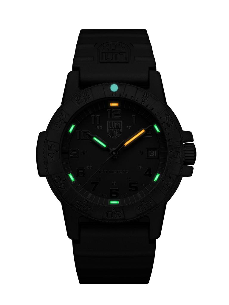 Часы SEA SERIES Luminox Boys Black [Luminox] Diver's 0301.BO.L Мужские Женские