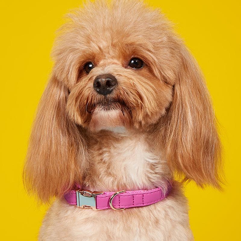 Ошейник для собак, ошейник для кошек в стиле ретро конфетного цвета, ошейник для маленьких и средних собак, ошейник для домашних собак