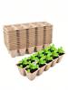 10/12Grids Cell Nursery Pots for Seedling,Starter Tray Biodegradable Pulp Seedling Cup Garden Plant Seedling Germination Tool