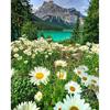 Алмазная вышивка Горный полевой цветок Полная алмазная картина Вышивка крестиком из страз Ручная работа