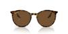 Sunglasses RB2204F HAVANA ON TRANSPARENT 54 Ray-Ban