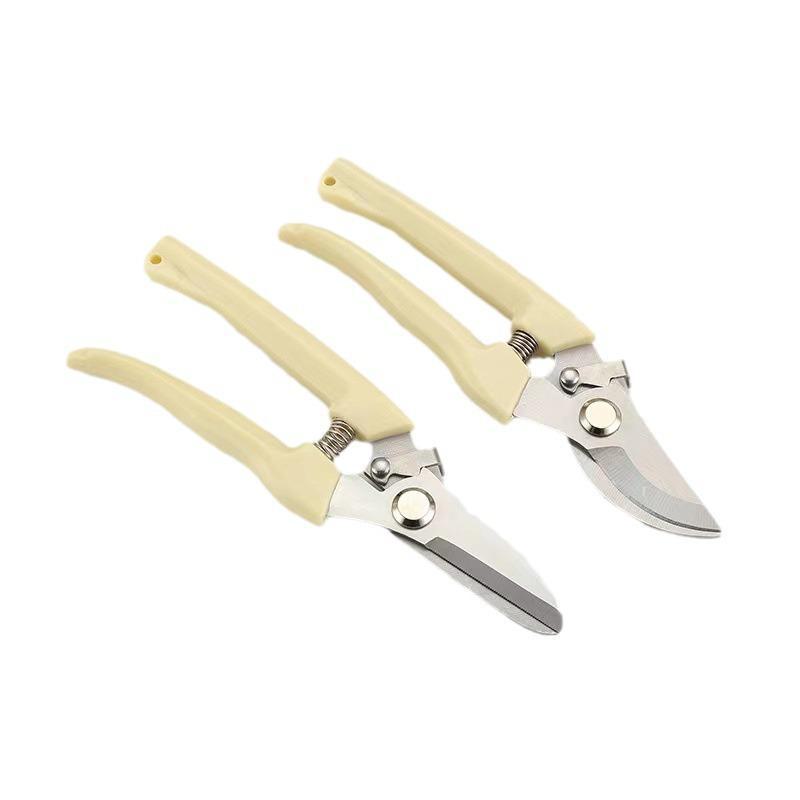 Садовые ножницы для обрезки: Инструмент для ухода за цветами, фруктами и деревьями