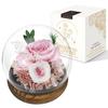 SENJWARM Preserved Flowers Birthday Gift for Women Japanese Style Glass Dome Flower Arrangement Wrapped Popular Popular Day White 60th Respect for the