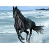 5D Diamond Painting Cross Stitch Horse Full Round Diamond Embroidery Animals Picture
