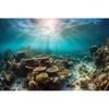 Подводный мир Фотофон для фотосъемки морского дна Декор Океан Подводные Рыбы Кораллы День Рождения Ребенка Фон Фотостудия Реквизит На заказ