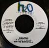 7inch Record WAYNE MARSHALL / MUNGA & BUGLE - Amazing / Legal Gun NONE H2O Productions Jamaica Reggae, Ska & Dub Used