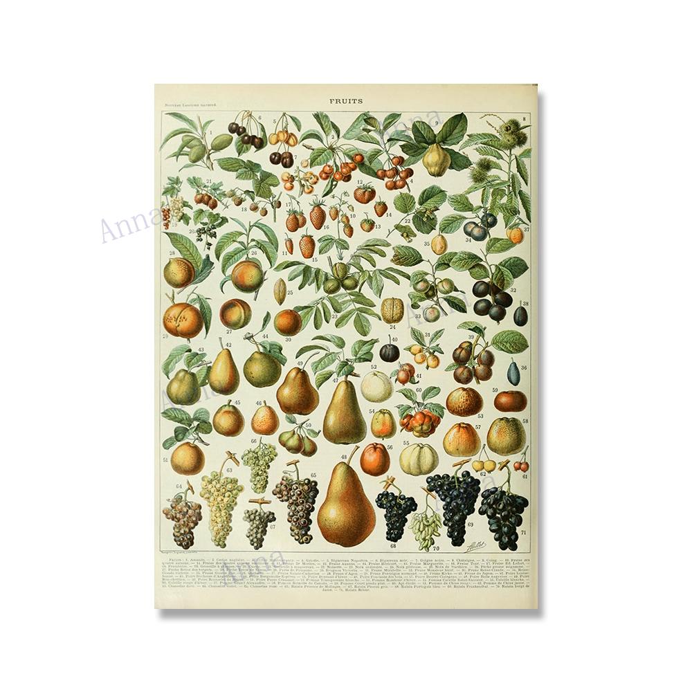 Adolphe Millot Encyclopedia Poster Fruit Botanical Mushrooms Herbs Flowers Canvas Paintings Print Vintage Wall Art Room Decor