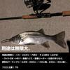 Daiwa Фтористый Justron Fluoro 3 300m Натуральный №