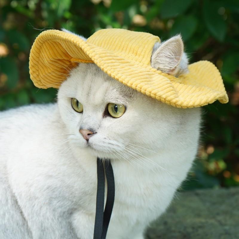 Adorable Pet Sun Hat With Ear Holes Cats Dogs - Denim Style Adjustable Outdoor Cap In Multiple Colors