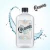 Qins Witch Hazel Toner Unscented 510ml, 1 Unit