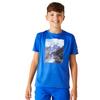 Regatta Childrens/Kids Alvardo VIII Mountain T-Shirt
