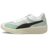 Кроссовки Clyde All-Pro Coast 2 Coast - Celtics Unisex Green White Power-Green 195124-01