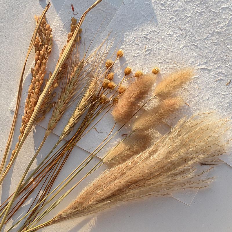 Wheat and Bunny Tail Grass Floral Photography Props