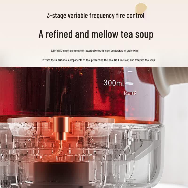 Bear ZCQ-A05S1 0.5L Mini Health Tea Maker & Electric Kettle CN plug (adapter included)