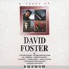 CD DAVID FOSTER - Touch of David Foster (Super Fantas WPCR14336 Japan ObiMusic Others Used