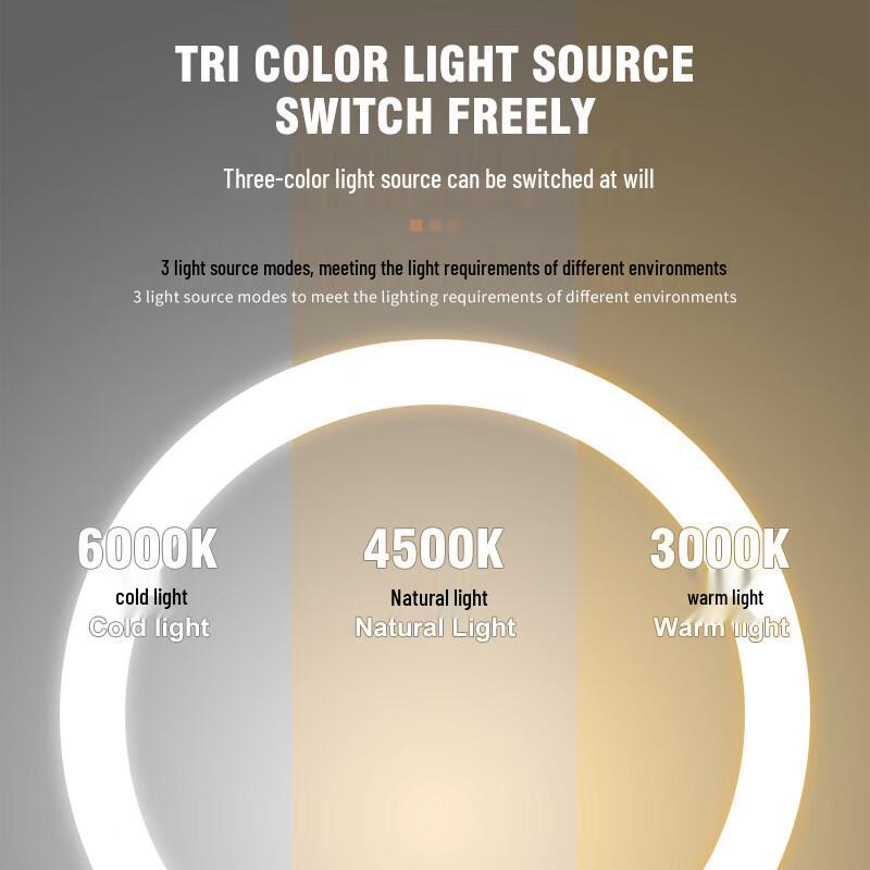 8-Inch Wall-Mounted LED Makeup Mirror with 7X Magnification