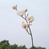 Real Touch Artificial Magnolia Branches Floral Art Fake Flower  Wedding Party Decor