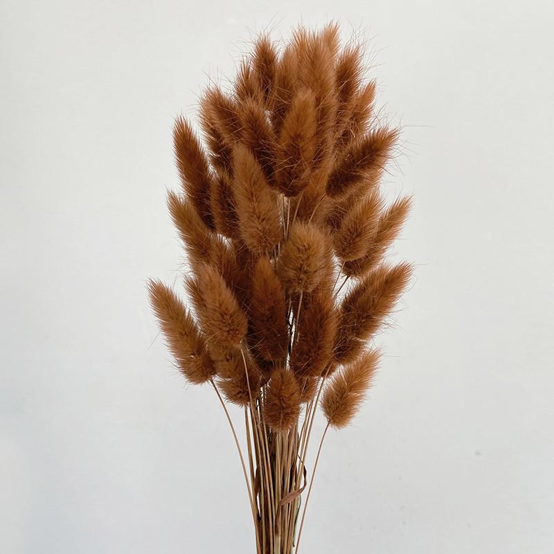 50 шт., букет из сухоцветов с изображением кролика и хвоста кролика, декор для свадебной вечеринки, пушистые пампасы, рождественская цветочная композиция своими руками